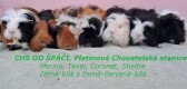 Chsodspaci